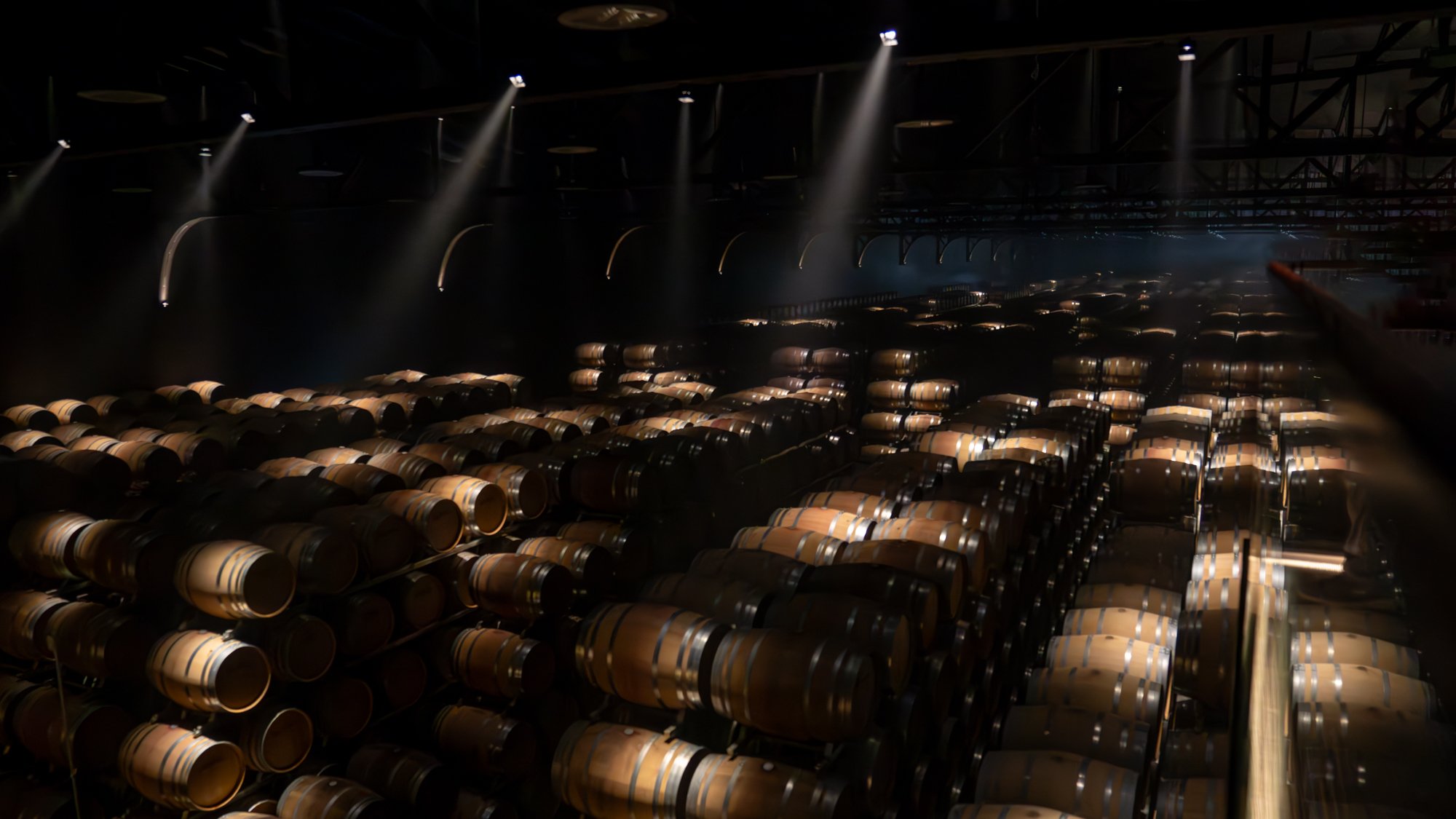 Oak barrels in the wine cellar